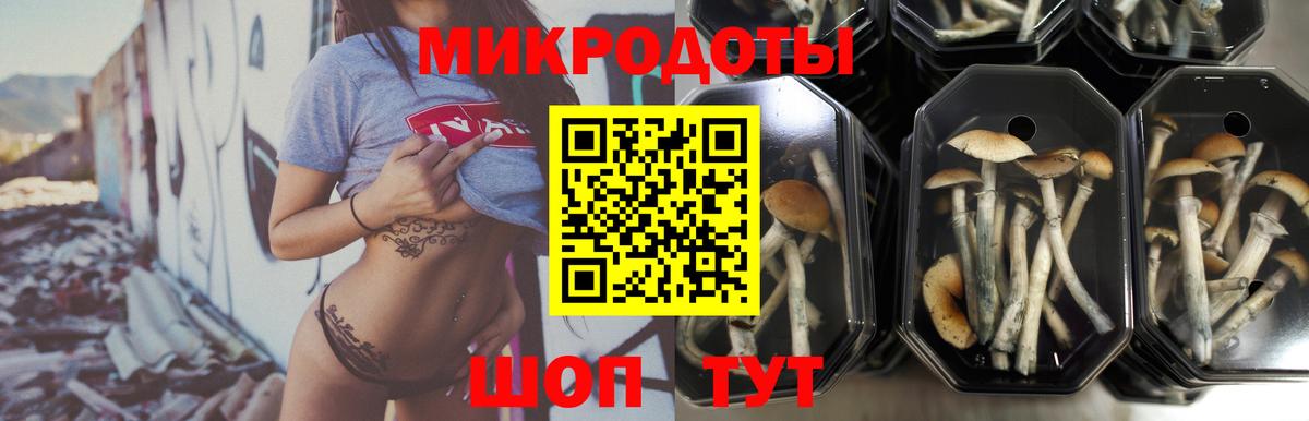 Галлюциногенные грибы мицелий  Галлюциногенные грибы прущие грибы  Вход с VPN  дарнет шоп  Новотроицк 